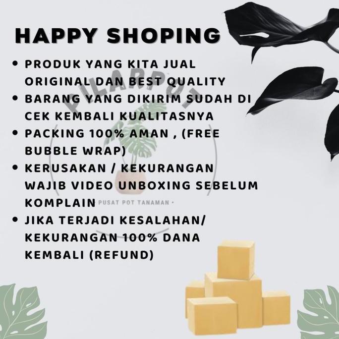 Benih Bibit Cabe Rawit Hijau Benih Unggul Jawara - CABE RAWIT TARINGE