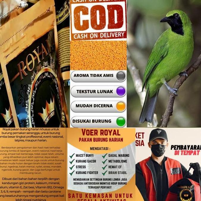 HARGA PABRIK - pur pakan voer burung cucak ijo 300 gr royal