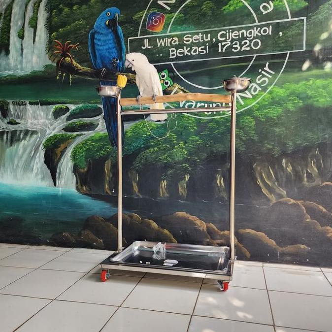 HARGA TERBAIK - Tangkringan stainless untuk burung kakak tua macaw parrot