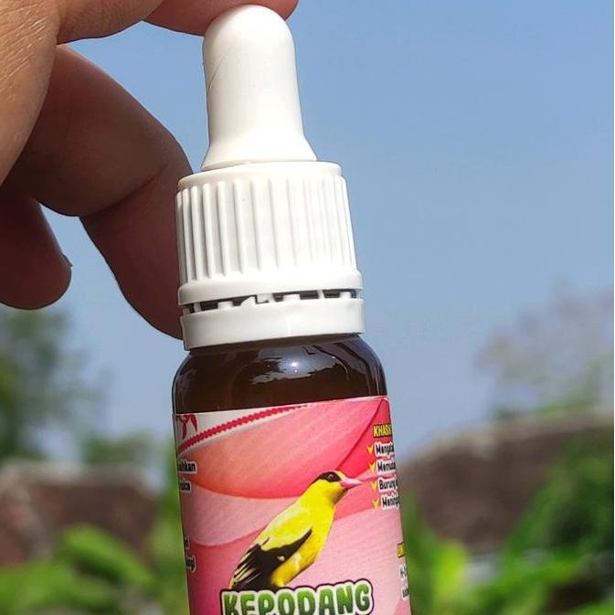 NEW - vitamin burung kepodang vit voice , penggacor burung kepodang bahan dan macetan jadi Gacor #vi