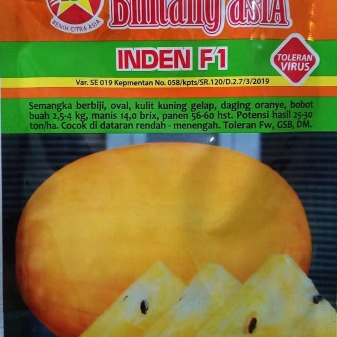 benih semangka kuning inden F1