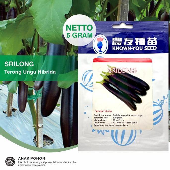 (1 PACK - 5 GRAM) Benih Terong Ungu SRILONG Hibrida Seeds - Known You Seed KYS