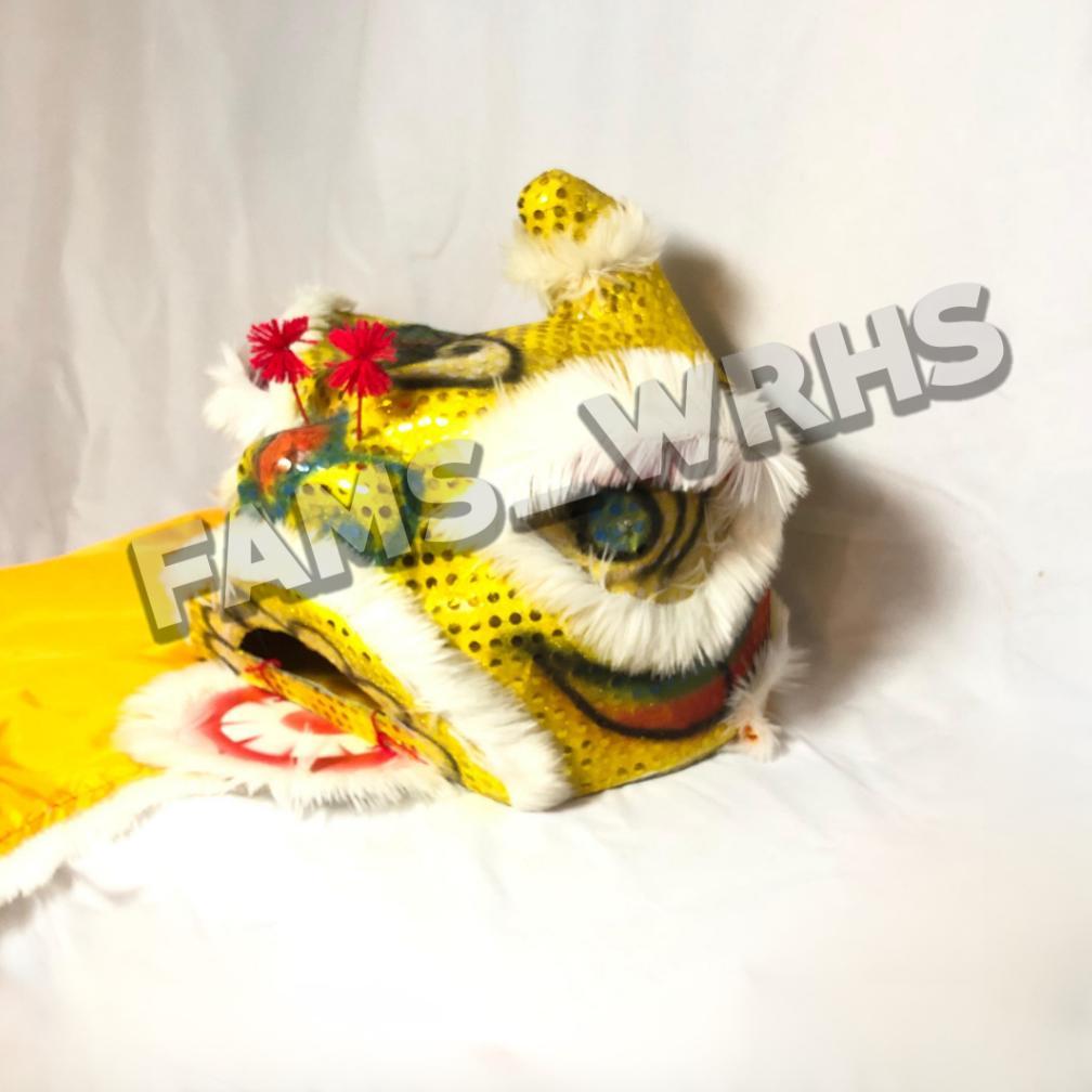 Barongsai Anak Dewasa Bahan Karton Tebal Kokoh Barongsai Kedip Fm -41