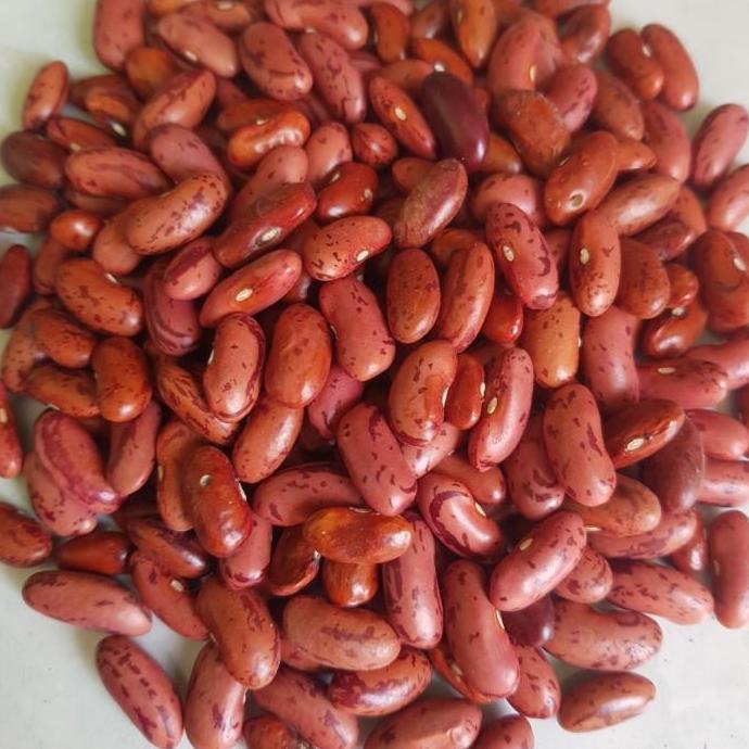 KACANG MERAH LOKAL SUPER 1 KG