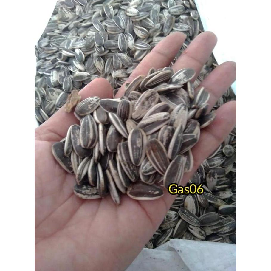 [800 GRAM] JUMBO KUACI/KWACI/BIJI BUNGA MATAHARI MENTAH