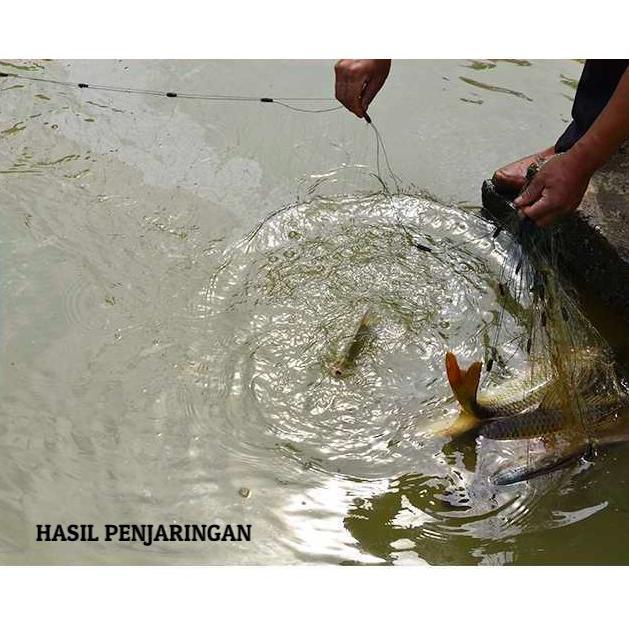 Ad-77 Pukat Jala Ikan Jadi 20 Meter Lengkap Tinggal Pasang - Stok Terbatas