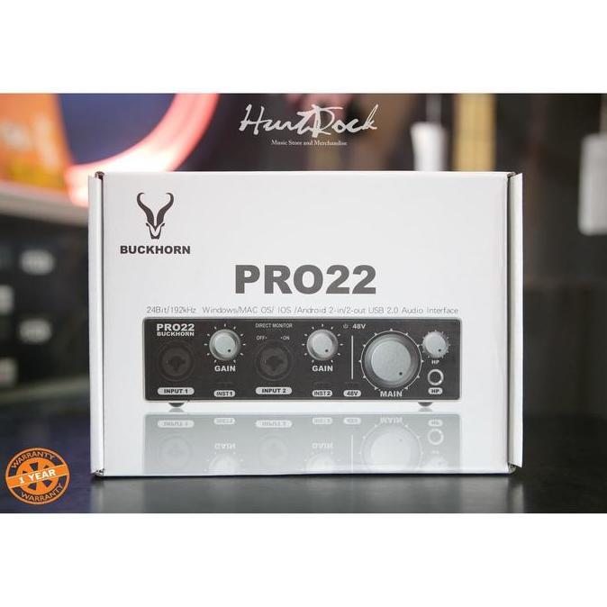 Buckhorn Pro 22 Soundcard Recording