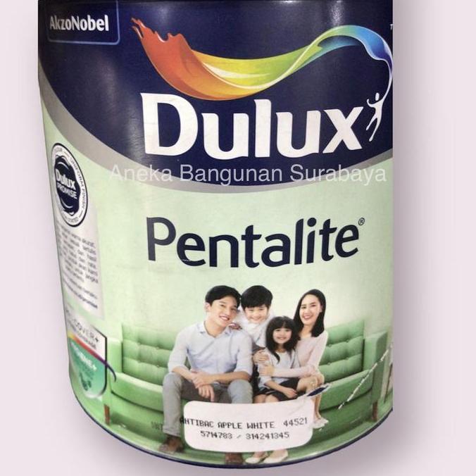 NEW Cat Tembok Dulux Pentalite antibac 20kg pail