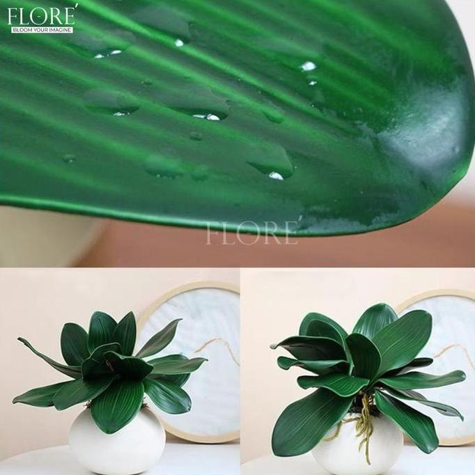 Daun Anggrek Latex [M] /Daun Anggrek Latex Jumbo/Daun Anggrek Artificial (KN-384)