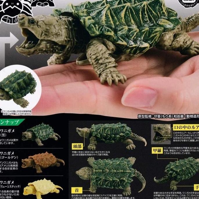 Kame Wanigame Alligator Turtle Dangomushi Gashapon Bandai Dango Mushi