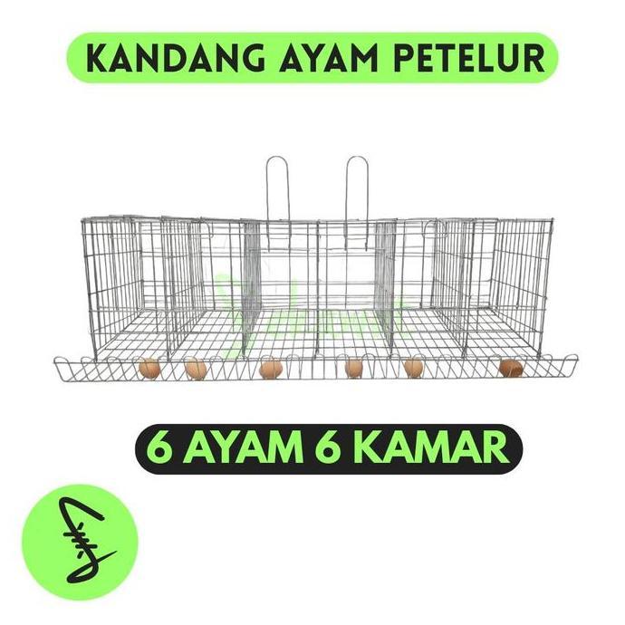 Kandang Ayam Petelur - 5 Ukuran - Ternak Ayam Panen Telur