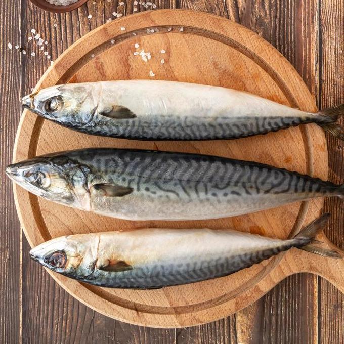 Premium Norway Saba Fish / Norway Mackerel