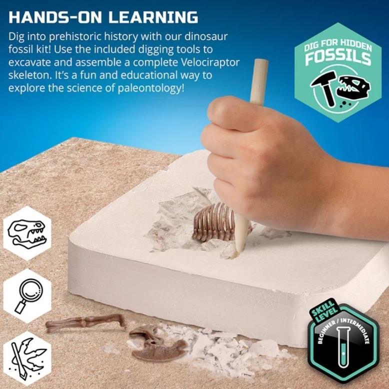 Unik Discovery Mindblown Dinosaur Fossil Dig Velociraptor Excavation Kit Skeleton