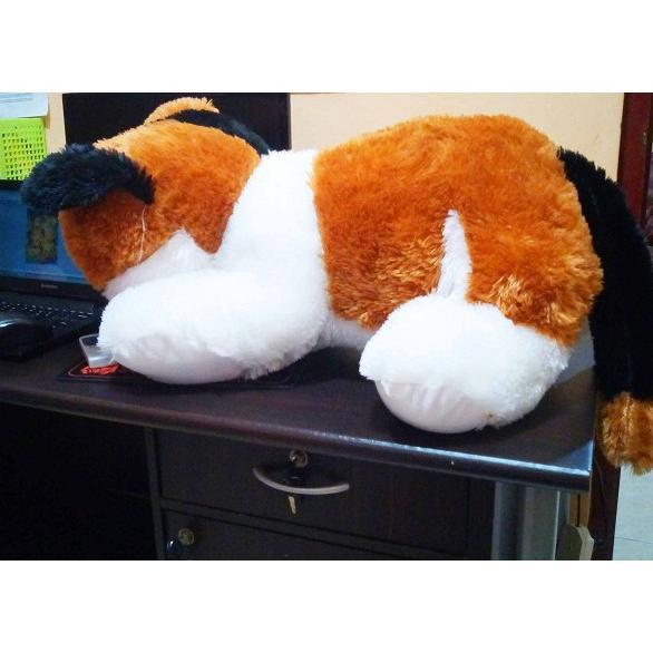 Grade Ori Boneka Kucing Jumbo Belang Termurah // Boneka Kucing Bulu Halus Termurah