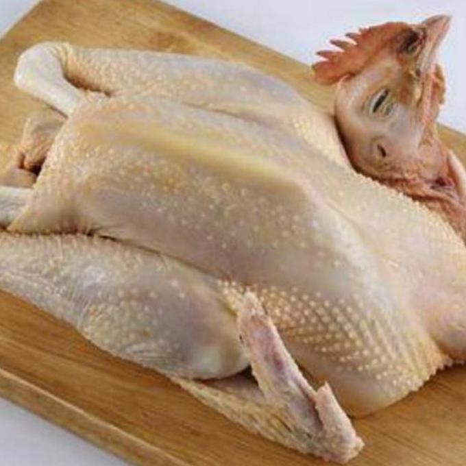 Enyama- Ayam Kampung / Ayam Kampung Besar 1-1.1Kg / Ayam Kampung Potong