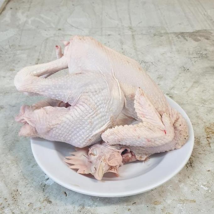 Enyama- Ayam Merah / Ayam Tua / Ayam Soto Opor / Ayam Afkir