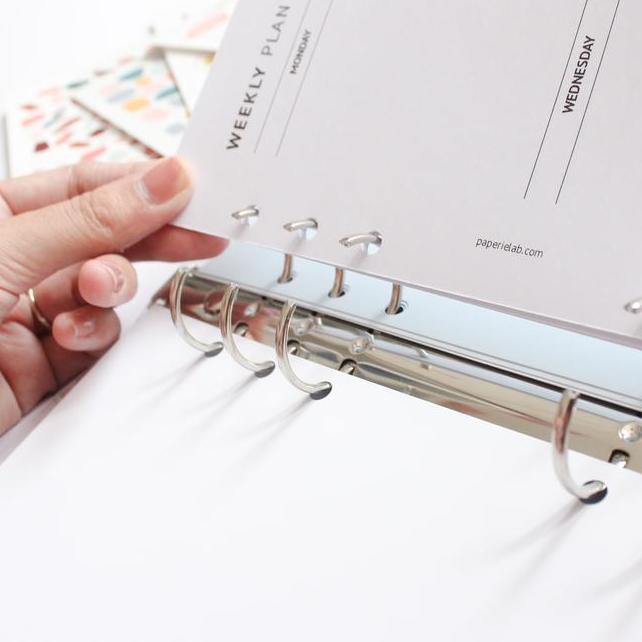 Transparent Binder Pink R