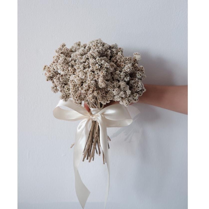 Edelweiss | Hand Bouquet Small - Buket bunga kering edelweiss edelweis dried flowers / pre wedding /