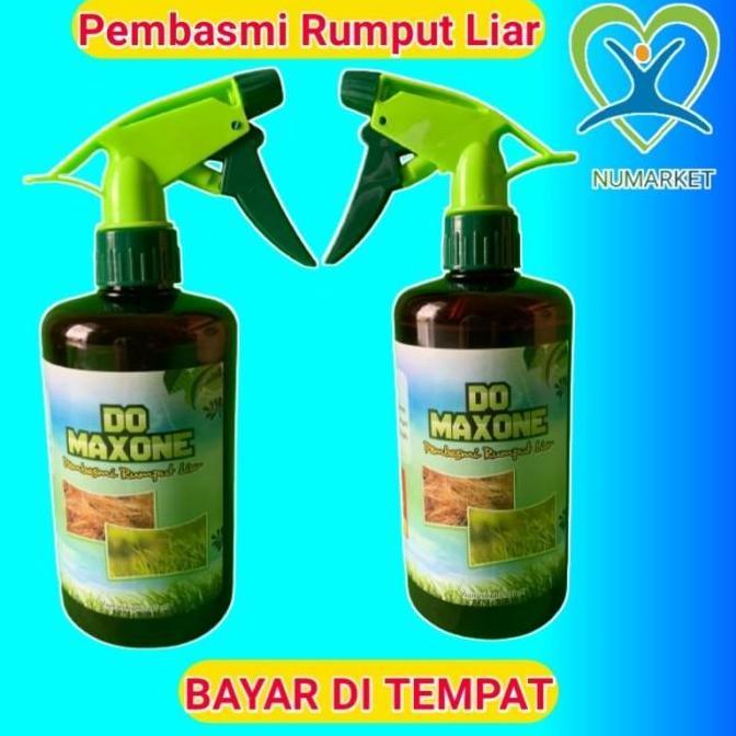 PEMBASMI RUMPUT LIAR OBAT ANTI PENGHILANG RUMPUT LIAR
