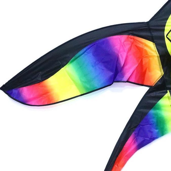 Layangan Bapangan Besar Layang Layang Model Burung Layang Layang Warna