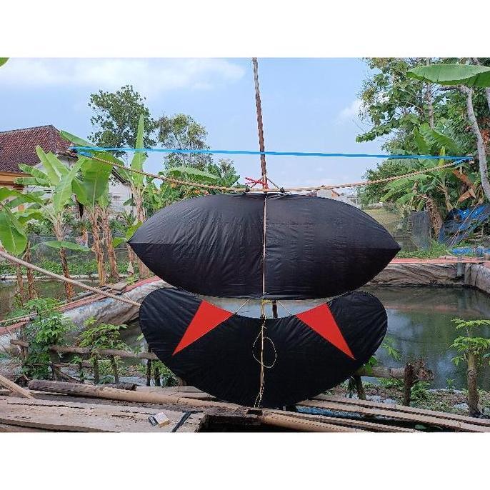 Layangan gapangan sawah layang layang