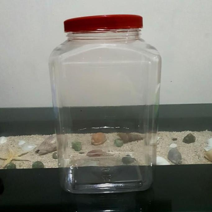 Toples Plastik Ikan Cupang 4 Liter Pakai Tutup