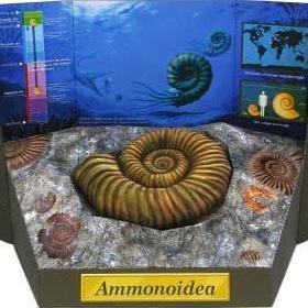 DIY Papercraft Dinosaurus - Ammonite Fossil (DIY=Kertas)