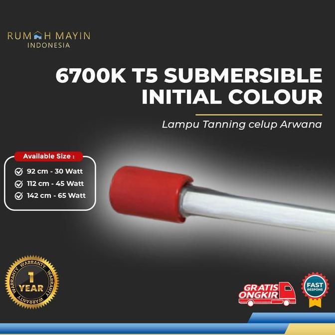 Sale Lampu Tanning Celup T5 Mayin International 6700K Aquarium Ikan Arwana