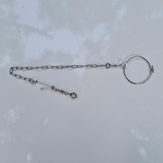 Rantai stainless burung nuri kepala hitam