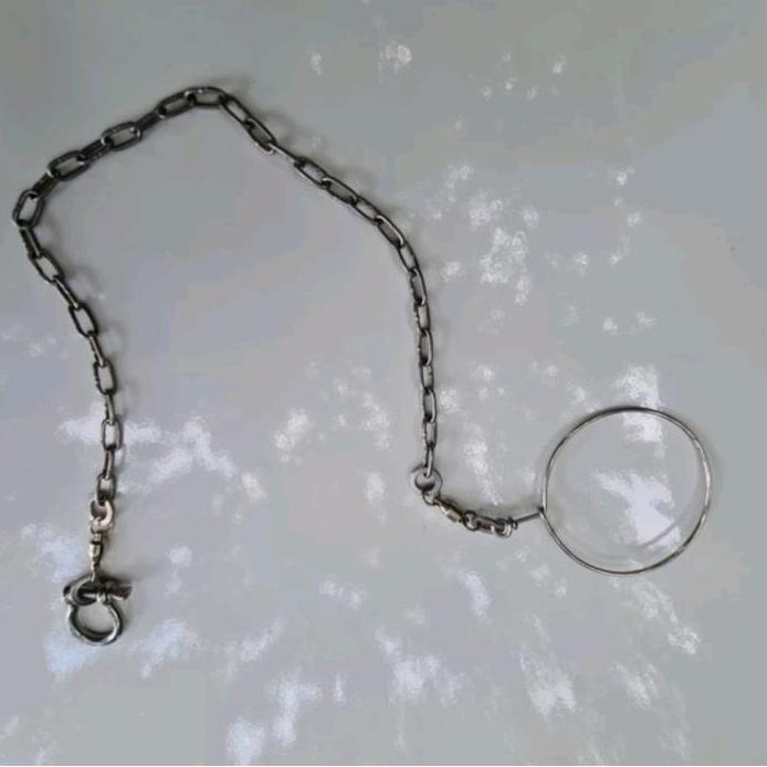 Rantai stainless burung macaw lengkap ring omega