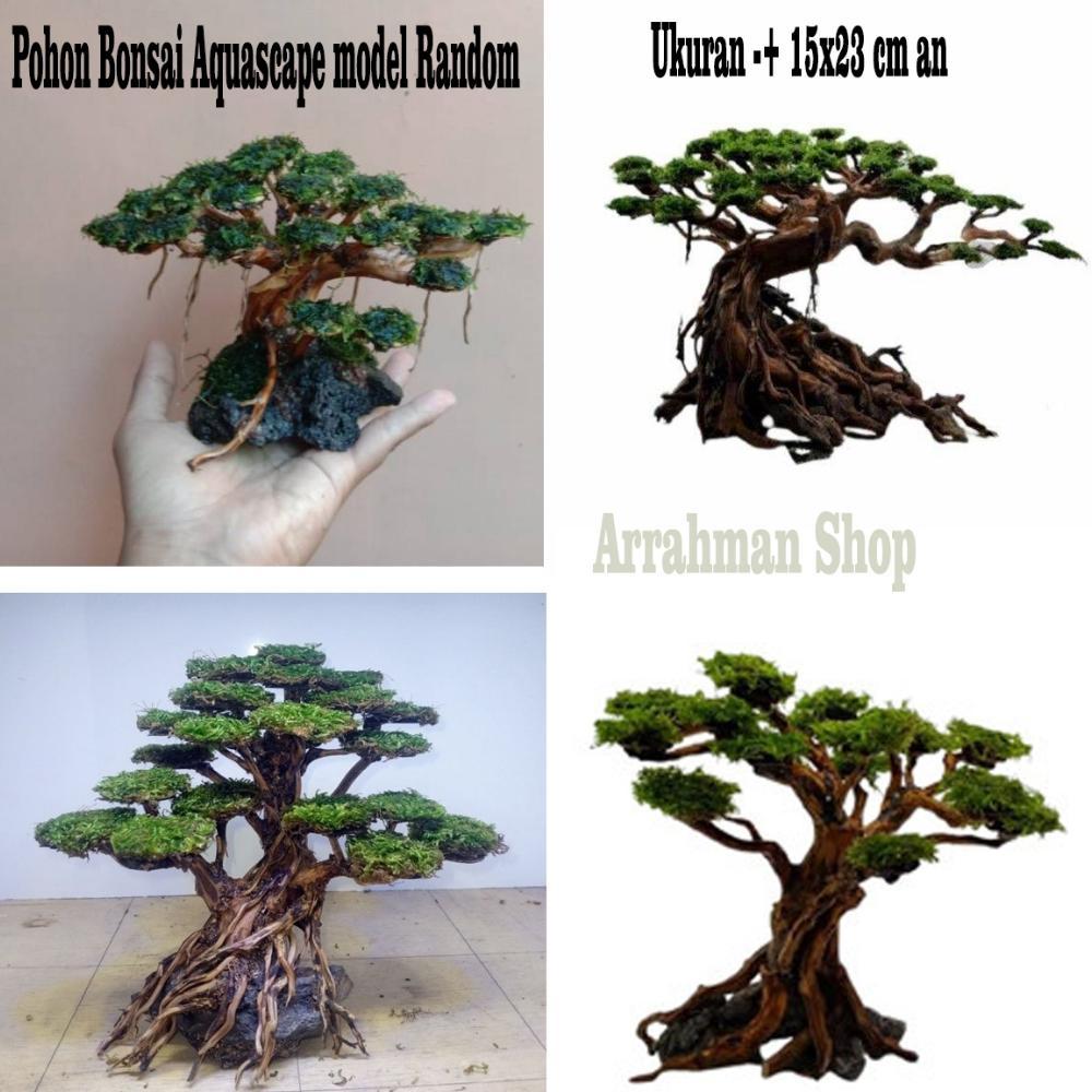 Hiasan Aquarium Pohon Bonsai Aquascape Siap Pakai - hiasan dekorasi aquarium aquascape bonsai akuari