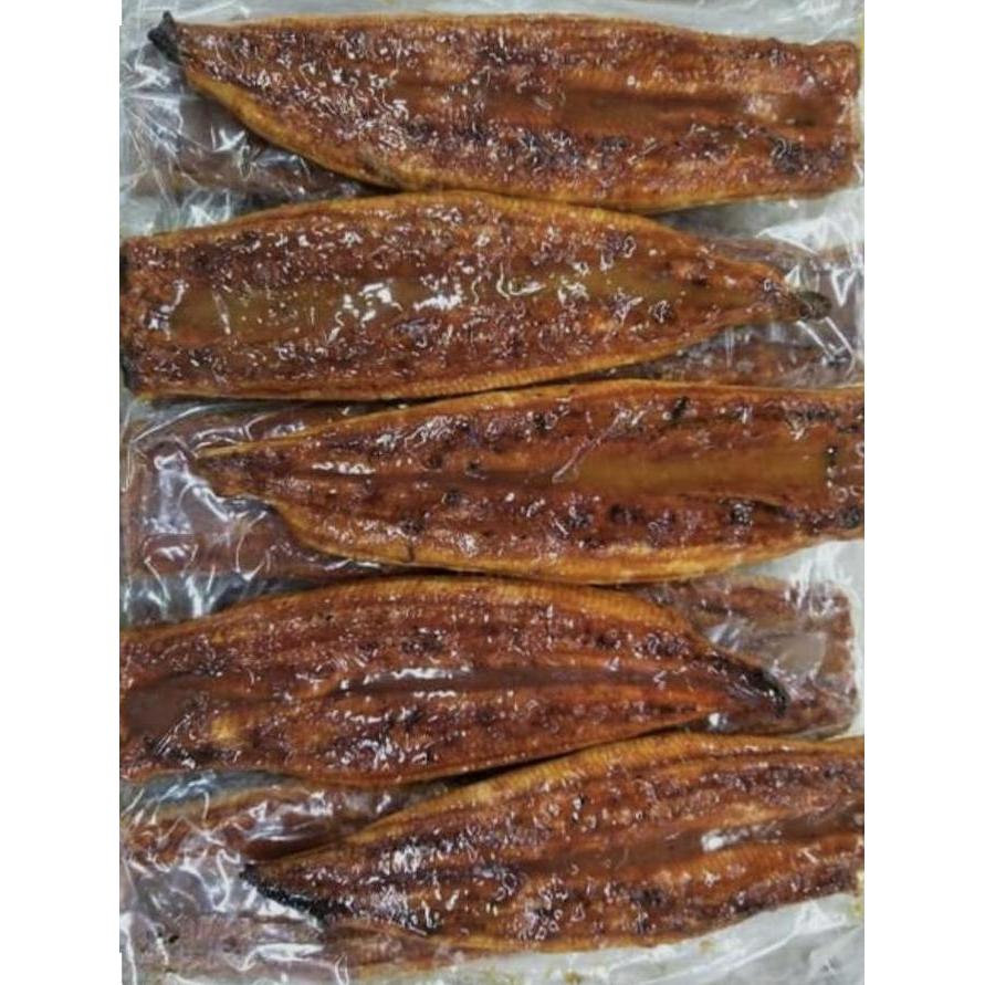 unagi kabayaki ikan sidat jepang premium frozen