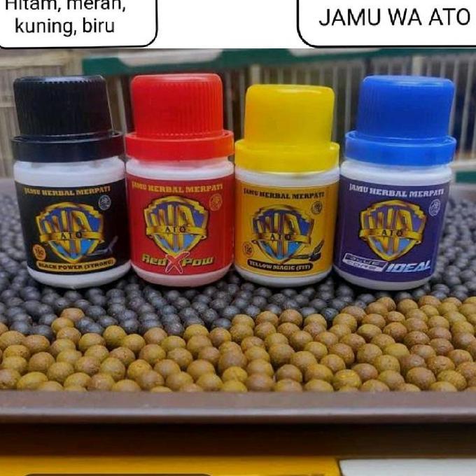 JAMU MERPATI WA ATO VARIAN (H17AM-M3R4H-KUN1N9-B1RU) JAMU MERPATI