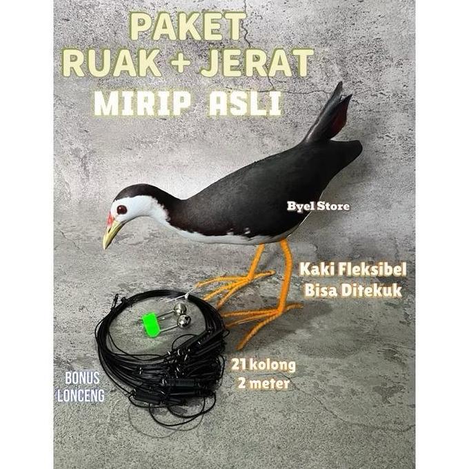 Perangkap Jebakan Burung Ruak Ruak Kareo Padi