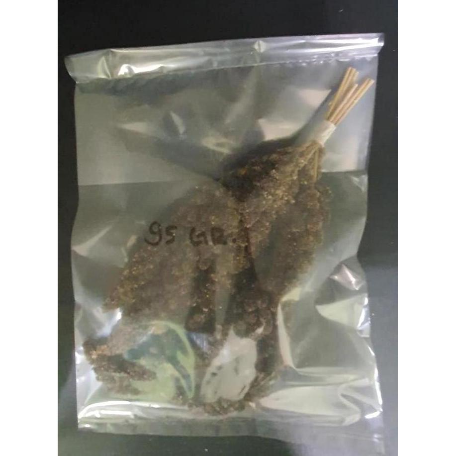 JAWAWUT HITAM TANGKAI 95 GRAM JUWAWUT JEWAWUT HITAM TANGKAI
