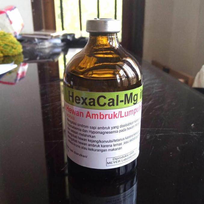 HexaCal-Mg Inj.Obat hewan ambruk /lumpuh/paralisa/tetanus.