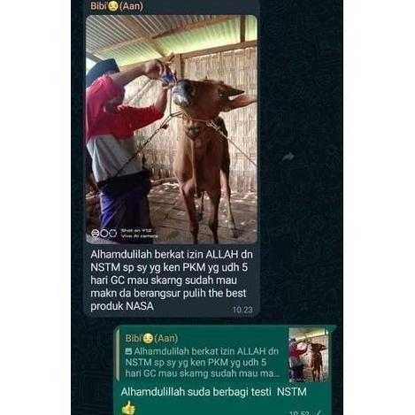 Nstm Nasa Suplemen Obat Untuk Sapi Pmk Penyakit Mulut Dan Kuku