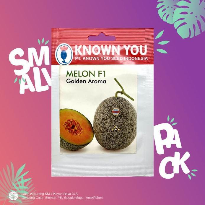 (1 PACK) Benih Melon Golden Aroma Hibrida F1 Oranye Seeds - KYS