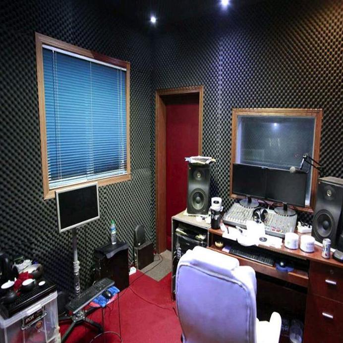 Busa Peredam Suara 12PCS Motif Telur Peredam Dinding Foam Acoustik