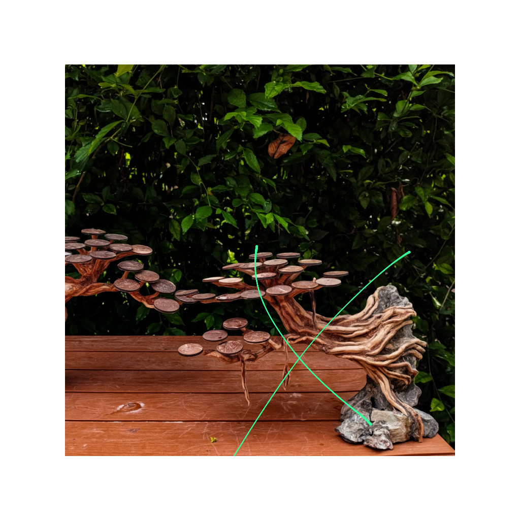 Bonsai Aquascape/Aquarium Jumbo tanpa mos/tanaman