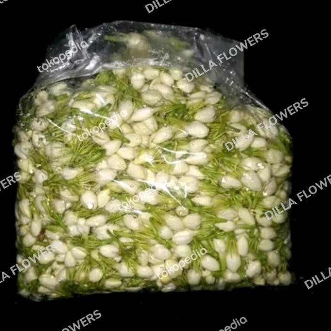 bunga melati segar HM