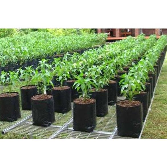 Polybag Tanaman ukuran 40x40 isi 30 lembar / Polybag tani 40x40 isi 30pcs