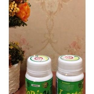 Obat Herbal Asam Urat Kolesterol Lactobio 3+