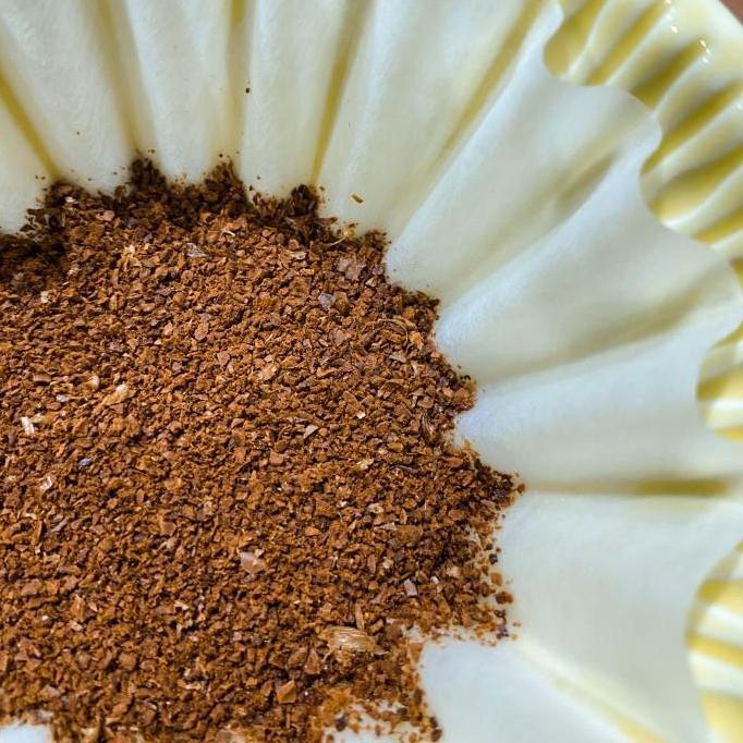 Toneoo- Gayo Ribang Musara Natural | Collins Roasters| Filter Specialty Coffee