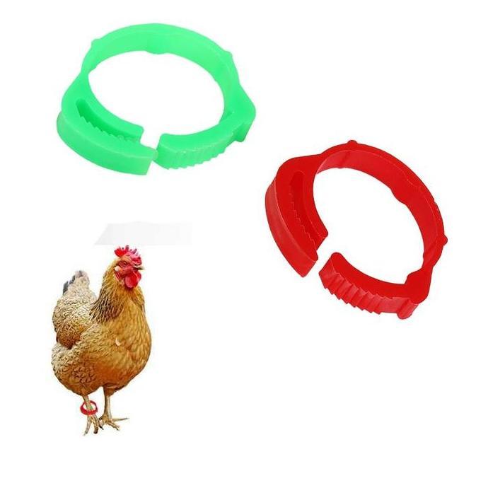 Giuntura- 50Pcs Gelang Kaki Ayam Cincin Kaki Ayam Bangkok Gelang Kaki Ayam Aduan Penanda Ayam Segel 