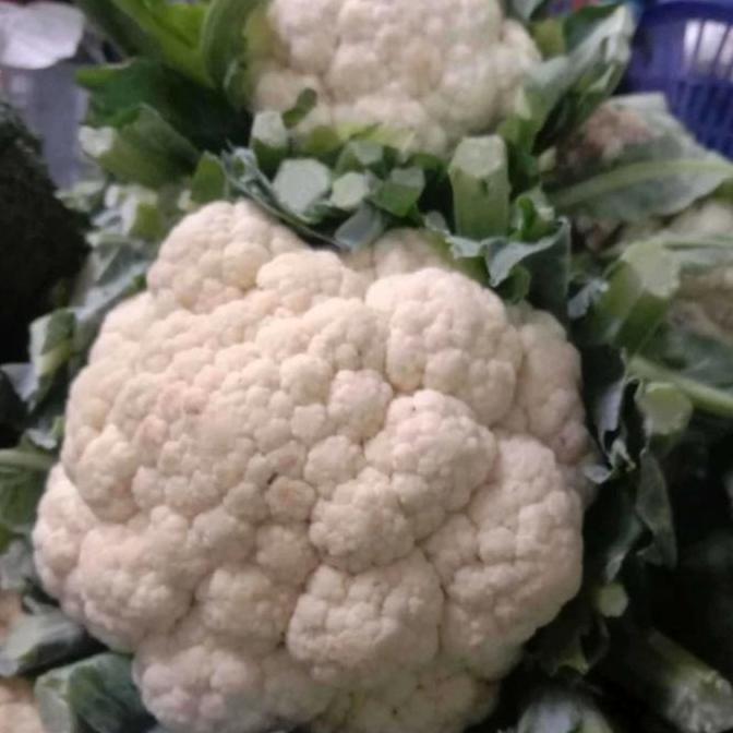 Verdura- Kembang Kol Sayuran Segar Fresh 1 Kg