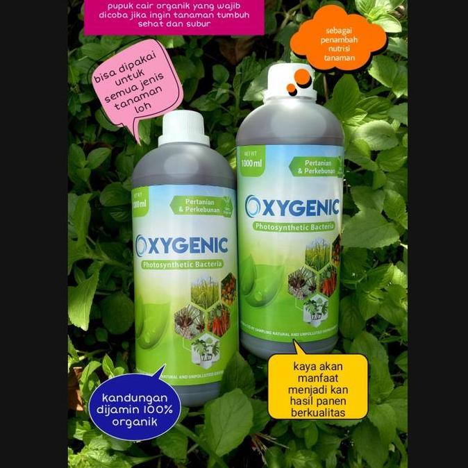 Glasrai- Psb Oxygenic Bakteri Fotosintesis Pupuk Cair Tanaman 1Liter