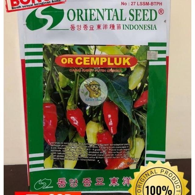 Benih Cabe Rawit Or Cempluk Dari Oriental Seed