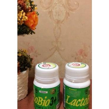 Obat Herbal Asam Urat Kolesterol Lactobio 3+
