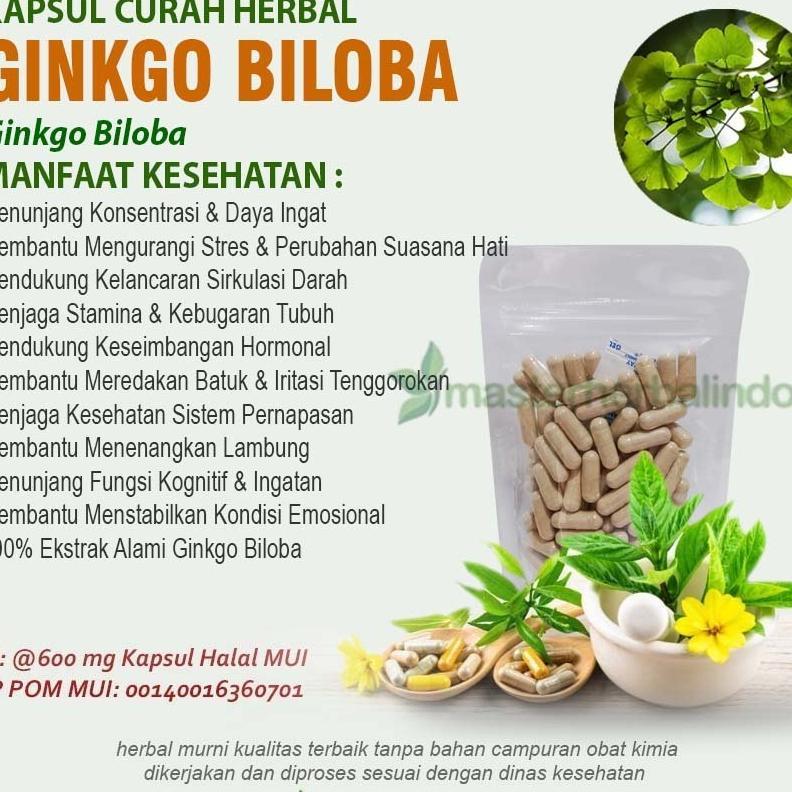 Ginkgo Biloba 100 Kapsul Curah Herbal